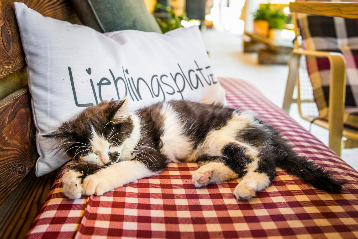 Farm stay Unterlehengut